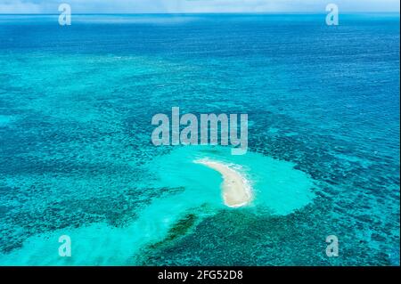 Blick aus der Vogelperspektive auf Michaelmas Cay von einem Hubschrauberflug über das Great Barrier Reef, Cairns, Far North Queensland, FNQ, QLD, Australien Stockfoto