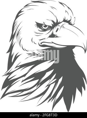 Bald Eagle Falcon Hawk Head Silhouette Schwarz Illustration Zeichnung Stock Vektor