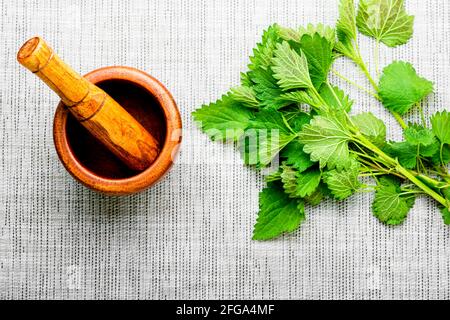 Brennnesseltinktur in Glasflasche und frische Brennnesselblätter.Brennnesseln In der Kräutermedizin Stockfoto