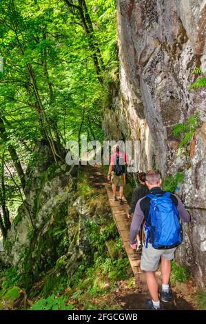 Junge Menschen wandern bei Hohneck in den französischen vogesen Stockfoto