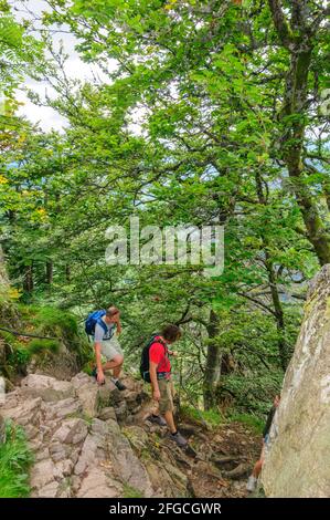 Junge Menschen wandern bei Hohneck in den französischen vogesen Stockfoto