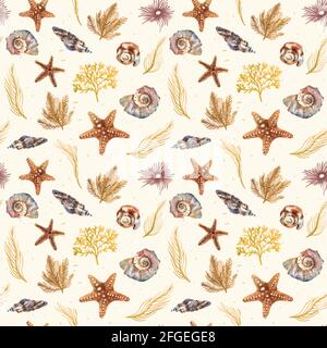 Monochromes, nahtloses Aquarell-Muster mit beigefarbenen Muscheln, Sternen und marinen Blumen auf dem Sand für ein dekoratives Design. Silhouetten der Meeresflora. Wat Stockfoto