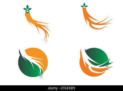 Ginseng Design Vektor Symbol Illustration Vorlage Stock Vektor