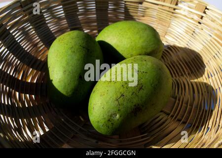 Frische rohe grüne Mangos im Korb aus Indien Asian. Asiatische rohe unreife grüne Bio-Mango im Weidenkorb. Frisch gezupft Stockfoto