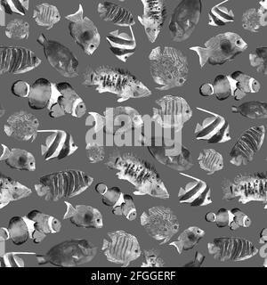 Monochrome exotische tropische Fische Nahtloses Muster handgezeichnet in Aquarell für Dekorationsdesign. Unterwasserwelt. Graues Muster Stockfoto
