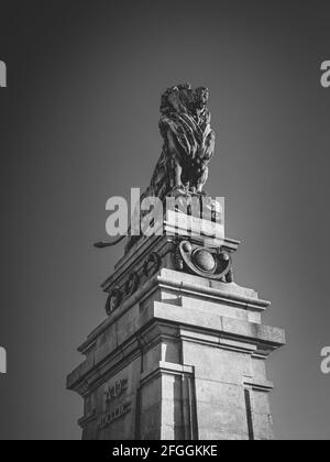 Isolierte Löwenstatue auf einem Sockel an der Schemerlbrücke in Wien, Österreich Stockfoto