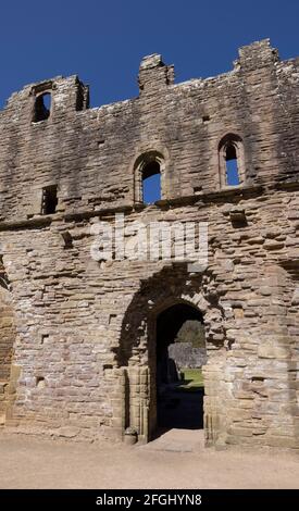 Ruinen der Refektoriummauer des Mönchs in Tintern Abbey, Monmouthshire, wales, Großbritannien Stockfoto