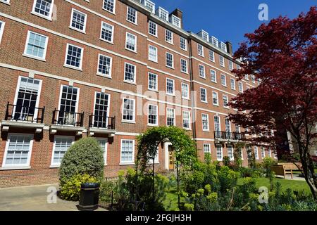 Pump Court und Elm Court Gardens, Middle Temple Lane, Temple Legal District, City of London, Großbritannien Stockfoto