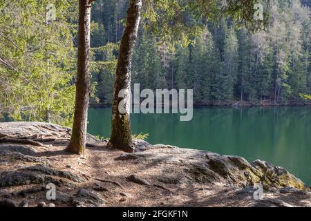 Wandern rund um den Piburger See, Otztal, Tirol Stockfoto