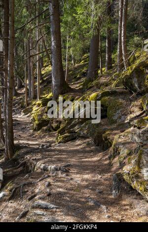 Wandern rund um den Piburger See, Otztal, Tirol Stockfoto