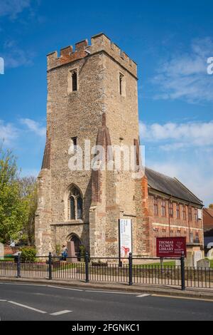 Thomas Plumes Library, Ansicht der Thomas Plume's Library - integriert mit dem mittelalterlichen Turm der St. Peter's Church - im Zentrum von Maldon, Essex Stockfoto