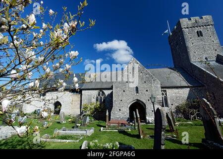 St. Illtyds Kirche, LLantwit Major, Vale of Glamorgan, Südwales. Stockfoto