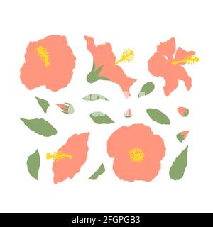 Minimal flache rosa Hibiskusblüten und Blätter, die isoliert darauf gesetzt sind Weißer Hintergrund Stock Vektor