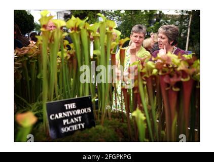 Die Öffentlichkeit genießt einen weiteren schönen Wettertag und schöne Blumen Bei der Chelsea Flower Show 2008 in LondonFoto von David Sandison The Independent Stockfoto