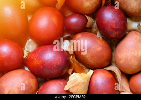 ostereier bemalt Zwiebelschalen. Färbung der Eier nach der alten natürlichen umweltfreundlichen Methode mit geschälten Zwiebeln. Flare Stockfoto