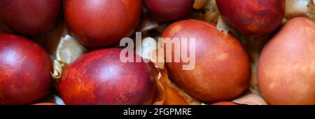 ostereier bemalt Zwiebelschalen. Färbung der Eier nach der alten natürlichen umweltfreundlichen Methode mit geschälten Zwiebeln. Banner Stockfoto