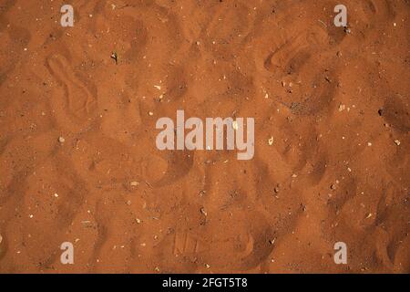 Gelborange Sandhintergrundstruktur mit einigen kleinen Steinen und menschlichen Schritten. Stockfoto