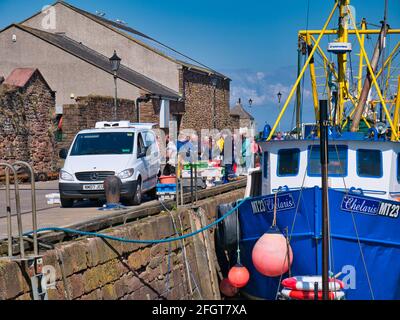 Frisch gelandeter Fisch, der am überfüllten Kai von Maryport an der Solway Coast in Cumbria, Großbritannien, verkauft wird. Aufgenommen an einem sonnigen Tag im Frühling. Stockfoto