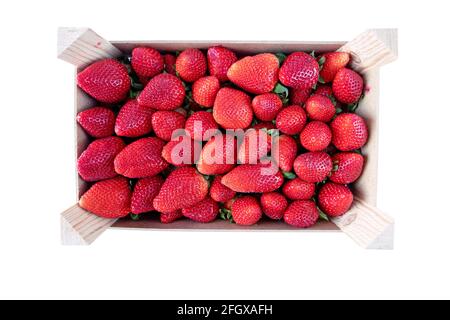 Reife rote Erdbeeren in der Holzkiste isoliert auf Weiß. Saisonspezifisches Essen. Obst einkaufen. Stockfoto