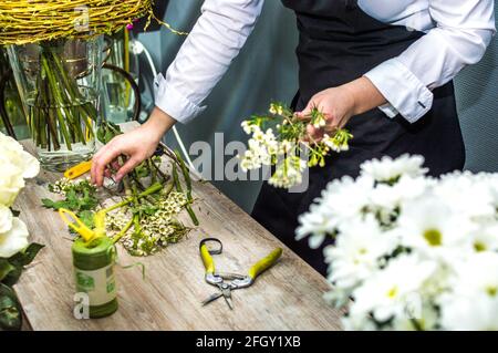 Prozess der Erstellung eines Blumenstrauß Blumenladen close-up. Frau Hände und Werkzeug Stockfoto