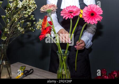 Weibliche Floristin, die einen Strauß Gerberas in einer Blume macht Kaufen Stockfoto