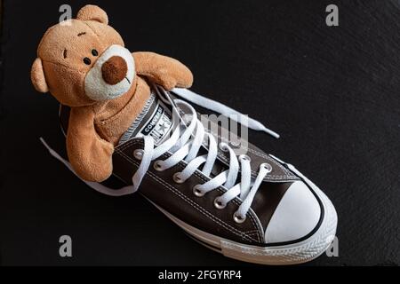 Lviv, Ukraine: 9. April 2021: Plüschbär in grauen Converse All Star Schuhen auf schwarzem Hintergrund Stockfoto