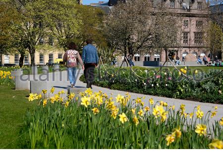 Edinburgh, Schottland, Großbritannien. April 2021. Frühling Tulpen und Narzissen blühen an einem herrlich warmen und sonnigen Tag im St. Andrew Square Garden. Kredit: Craig Brown/Alamy Live Nachrichten Stockfoto