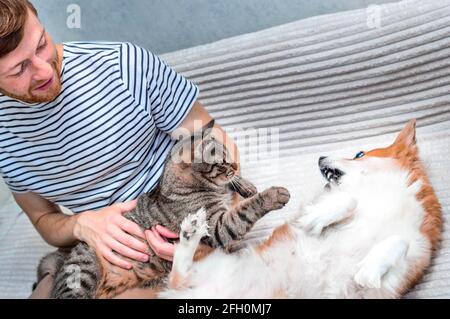 Katze und Hund spielen zusammen auf dem Bett in der Wohnung. Nahaufnahme. Fröhliches Lächeln Stockfoto