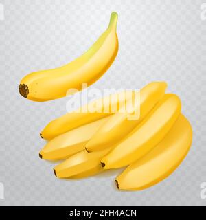 Set von 2 realistischen Bananen auf kariertem transparentem Hintergrund. Tropische Früchte. 3D-Vektordarstellung Stock Vektor