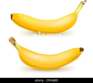 Set von 2 realistische Bananen isoliert auf weißem Hintergrund.. Tropische Früchte. 3D Vektorgrafik Stock Vektor