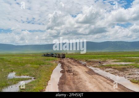 NGORONGORO-KRATER, TANSANIA - 16. FEBRUAR 2020. Safari schmutzige Offroad Jeeps fahren auf viel befahrenen Feldweg auf dem Boden des Ngorongoro Kraters, Savannah Stockfoto