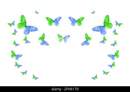 Tropischer Schwarm fliegender, farbiger Schmetterlinge, isoliert auf Weiß. Tropische Motten. Fliegende Insekten. Hochwertige Fotos Stockfoto