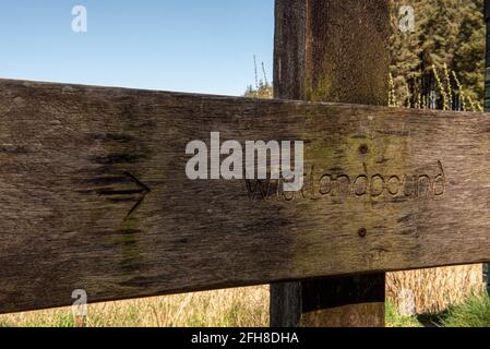 Dekoratives Holzschild mit Gravur mit Wistlandpound im Wistlandpound Reservoir in North Devon, Südwestengland im April 2021 Stockfoto