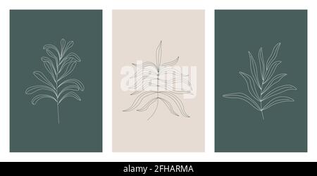 Vektor-Set aus drei botanischen Wandkunstpostern in grünen und grauen Farben. Trendige, in Erdtönen gehaltene Linienkunst im minimalistischen Stil. Design für den Druck Stock Vektor
