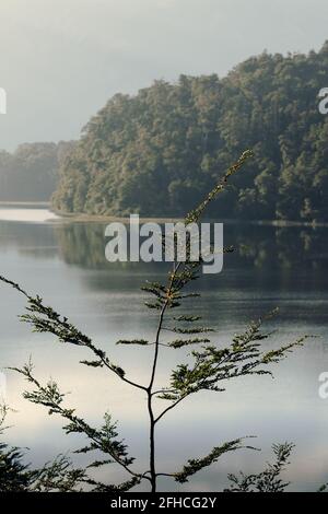 Spektakuläre Landschaft der Bergkette mit grünem Wald in der Nähe Ruhiger See mit plätscherndem Wasser Stockfoto