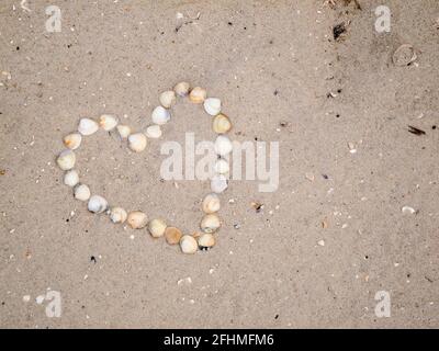Herz aus Muschelschalen am Nordseestrand auf Sand gebildet. Stockfoto