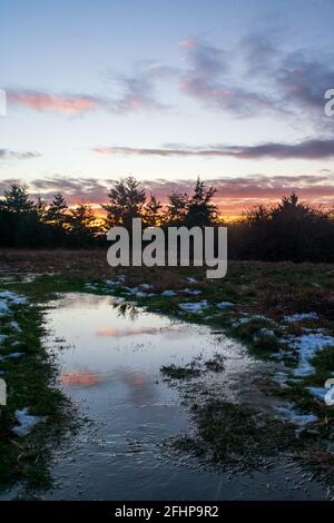 Der Sonnenuntergang spiegelt sich in einer Wasserpfütze auf dem Whidbey Island Trail wider Nach dem Winter Schneesturm Stockfoto