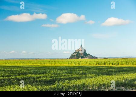 Schöne Aussicht auf die berühmte historische Gezeiteninsel Le Mont Saint-Michel in grünen Feldern im Sommer Normandie, Nordfrankreich Stockfoto