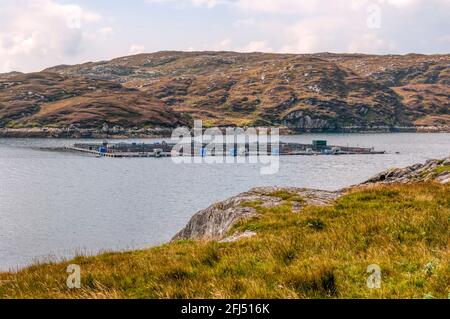 Fischzucht Muschelfischerei in Loch Stockinish, einem See-loch an der Küste der Isle of Harris in den Äußeren Hebriden. Stockfoto