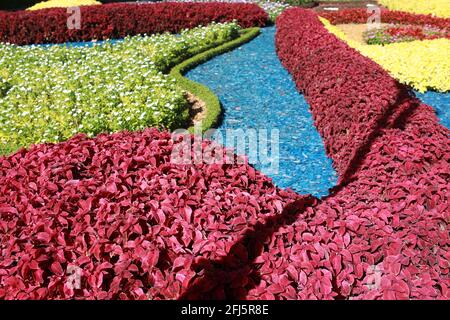 Großes Grundstück mit Gartenanlagen und Blumen im Garten Stockfoto