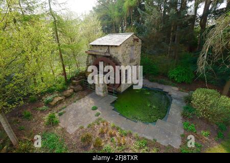 Der Hesco Garden 2011, der auf der Chelsea Flower Show eine Goldmedaille gewann. Es ist jetzt ein Hauptmerkmal in den Specialist Gardens in Roundhay in Leeds. Stockfoto