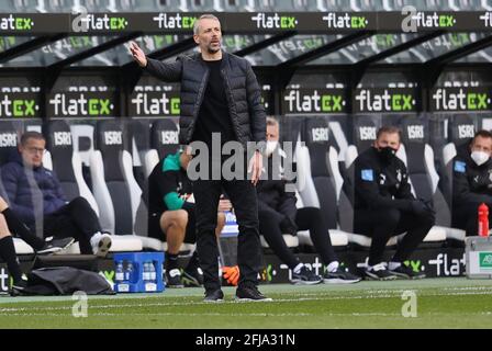 Gladbach, Deutschland. 25. Apr 2021. firo: 25.04.2021 Fuvuball: Fußball: 1. Bundesliga-Saison 2020/21 VfL Borussia MV? Nchengladbach, Borussia Monchengladbach - Arminia Bielefeld Gesture VfL-Trainer Marco Rose Quelle: dpa/Alamy Live News Stockfoto