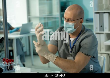 Kahlköpfiger Laborarbeiter in Maske sitzt am Tisch und setzt sich Handschuhe an den Händen während der Vorbereitung auf die Blutuntersuchung Stockfoto