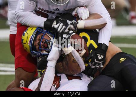 Newark, Delaware, USA. April 2021. Delaware läuft zurück DEJOUN LEE (33) wird während eines Playoff-Spiels der NCAA Division I Football Championship Subdivision zwischen den Delaware Blue Hens und den Sacred Heart Pioneers am Samstag, APR, angegangen. 24, 2021, im Delaware Stadium in Newark, DE. Kredit: Saquan Stimpson/ZUMA Wire/Alamy Live Nachrichten Stockfoto