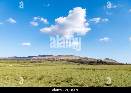 Killearn, Stirling, Schottland, Großbritannien. April 2021. Wetter in Großbritannien - wunderschöner blauer Himmel im Dorf Killearn mit Blick über die Campsie Fells Credit: Kay Roxby/Alamy Live News Stockfoto