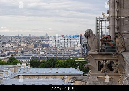 Paris, Frankreich, 19. Juni: Blick auf das Centre Louvre und die Dächer von Paris aus der Höhe von Notre Dame de Paris, 19. Juni 2012 in Paris. Stockfoto