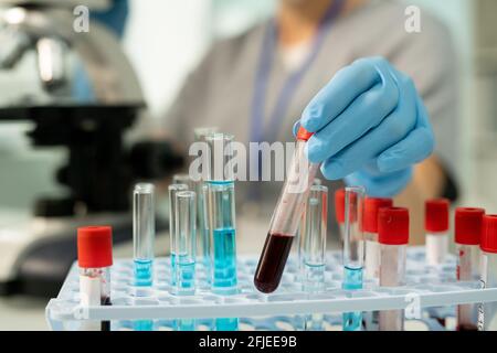 Nahaufnahme eines nicht erkennbaren Laborarbeiters in sterilen Handschuhen, die den Test durchführen Röhrchen in das Rack eingießen, während die Blutprobe im Labor untersucht wird Stockfoto