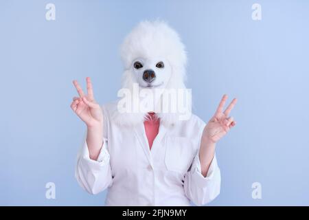 Junge Frau in einer Latex-Hundekopfmaske und weißem Mantel, die Victory-Handzeichen auf blauem Hintergrund macht. Arzt medizinische veterinärmedizinische Konzepte. Stockfoto
