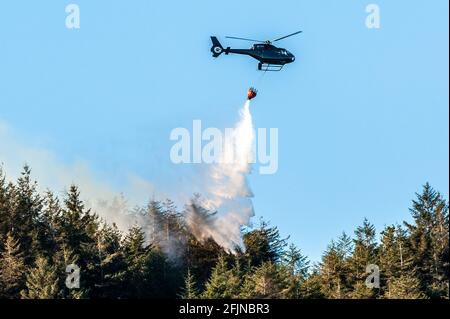 Shiplake, Dunmanway, West Cork, Irland. April 2021. Feuerwehrmannschaften kämpften heute Nachmittag in Shiplake, etwas außerhalb von Dunmanway in West Cork, gegen einen erheblichen Gorse-Brand. Crews aus Dunmanway, Clonakilty und Bantry wurden zusammen mit einem Hubschrauber des irischen Luftkorps zur Bekämpfung des Feuers gerufen. Quelle: AG News/Alamy Live News Stockfoto