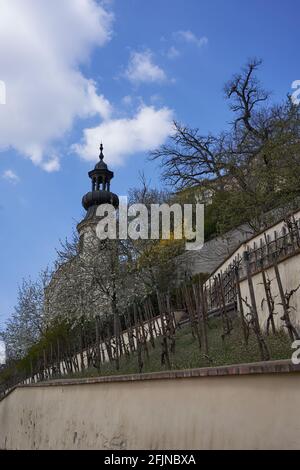 Prag, Tschechische Republik - 23. April 2021 - der große Fürstenberg-Garten an einem sonnigen Frühlingsnachmittag in der Nähe der Prager Burg. Stockfoto